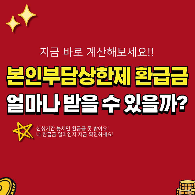 본인부담상한제 환급금 얼마나 받을 수 있을까요? (+ 신청기간과 조회 방법)